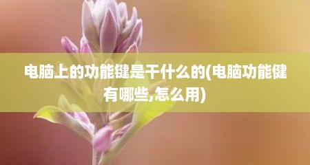 电脑上的功能键是干什么的(电脑功能健有哪些,怎么用)