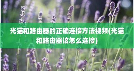 光猫和路由器的正确连接方法视频(光猫和路由器该怎么连接)