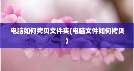 电脑如何拷贝文件夹(电脑文件如何拷贝)