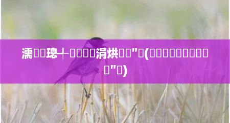 濡備綍璁╃數鑴戞垚涓烘湇鍔″櫒(鎶婄數鑴戝紕鎴愭湇鍔″櫒)