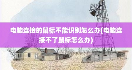 电脑连接的鼠标不能识别怎么办(电脑连接不了鼠标怎么办)