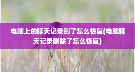 电脑上的聊天记录删了怎么恢复(电脑聊天记录删除了怎么恢复)