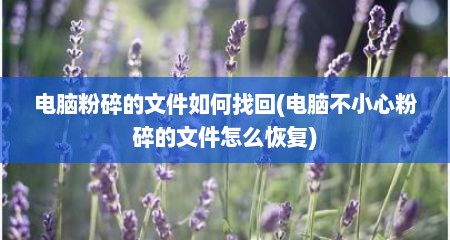 电脑粉碎的文件如何找回(电脑不小心粉碎的文件怎么恢复)