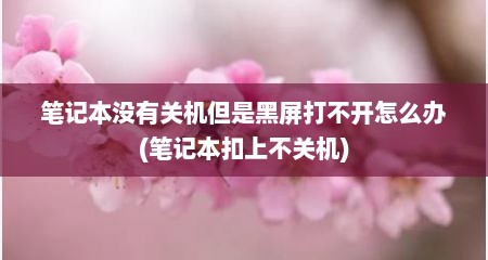笔记本没有关机但是黑屏打不开怎么办(笔记本扣上不关机)