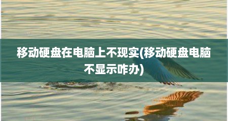 移动硬盘在电脑上不现实(移动硬盘电脑不显示咋办)
