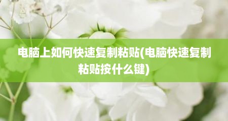 电脑上如何快速复制粘贴(电脑快速复制粘贴按什么键)