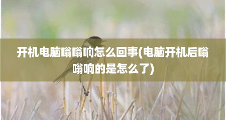 开机电脑嗡嗡响怎么回事(电脑开机后嗡嗡响的是怎么了)