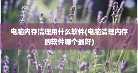 电脑内存清理用什么软件(电脑清理内存的软件哪个最好)