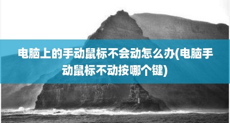 电脑上的手动鼠标不会动怎么办(电脑手动鼠标不动按哪个键)