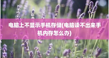 电脑上不显示手机存储(电脑读不出来手机内存怎么办)