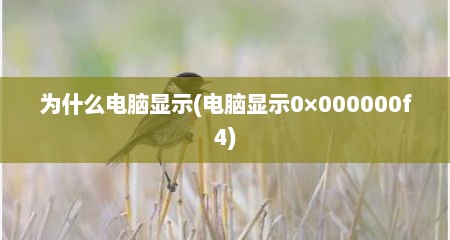 为什么电脑显示(电脑显示0×000000f4)