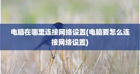 电脑在哪里连接网络设置(电脑要怎么连接网络设置)