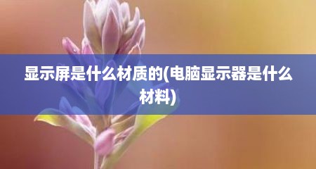 显示屏是什么材质的(电脑显示器是什么材料)