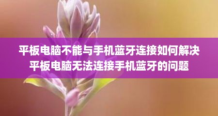平板电脑不能与手机蓝牙连接如何解决平板电脑无法连接手机蓝牙的问题