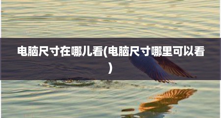 电脑尺寸在哪儿看(电脑尺寸哪里可以看)