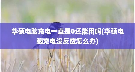 华硕电脑充电一直是0还能用吗(华硕电脑充电没反应怎么办)
