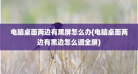 电脑桌面两边有黑屏怎么办(电脑桌面两边有黑边怎么调全屏)