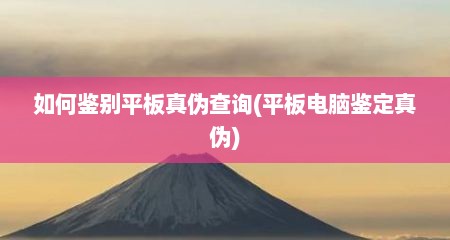 如何鉴别平板真伪查询(平板电脑鉴定真伪)