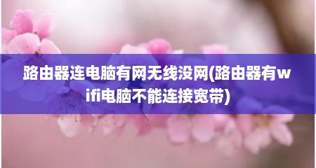 路由器连电脑有网无线没网(路由器有wifi电脑不能连接宽带)