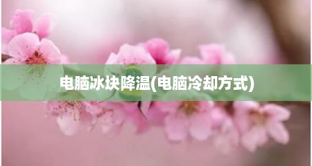 电脑冰块降温(电脑冷却方式)