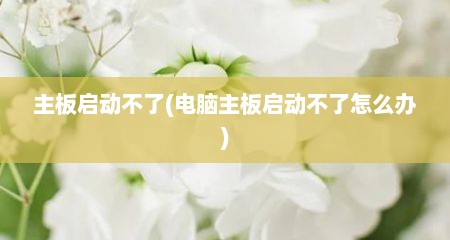 主板启动不了(电脑主板启动不了怎么办)
