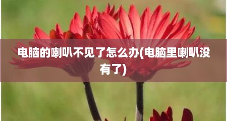 电脑的喇叭不见了怎么办(电脑里喇叭没有了)