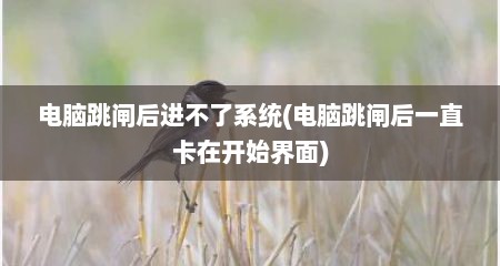 电脑跳闸后进不了系统(电脑跳闸后一直卡在开始界面)
