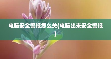 电脑安全警报怎么关(电脑出来安全警报)