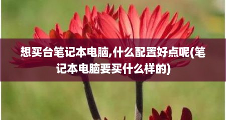 想买台笔记本电脑,什么配置好点呢(笔记本电脑要买什么样的)