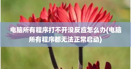 电脑所有程序打不开没反应怎么办(电脑所有程序都无法正常启动)