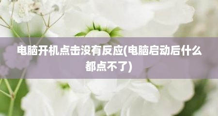 电脑开机点击没有反应(电脑启动后什么都点不了)