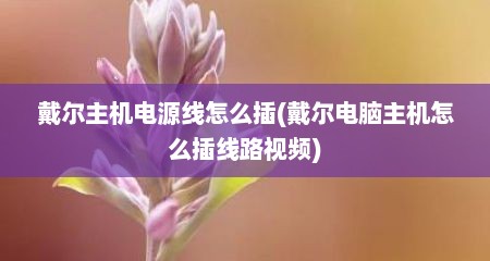 戴尔主机电源线怎么插(戴尔电脑主机怎么插线路视频)