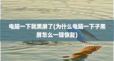 电脑一下就黑屏了(为什么电脑一下子黑屏怎么一键恢复)
