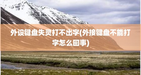 外设键盘失灵打不出字(外接键盘不能打字怎么回事)