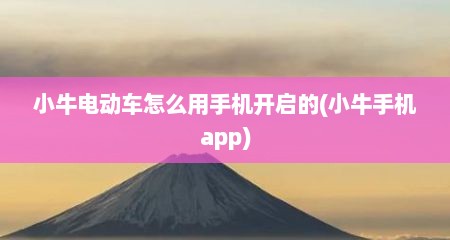 小牛电动车怎么用手机开启的(小牛手机app)