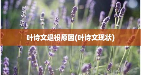 叶诗文退役原因(叶诗文现状)