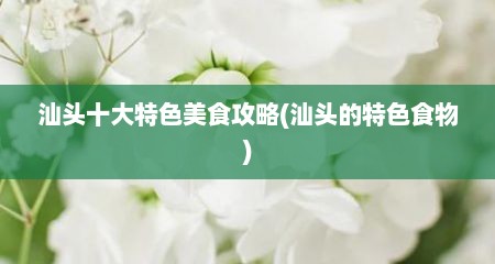汕头十大特色美食攻略(汕头的特色食物)