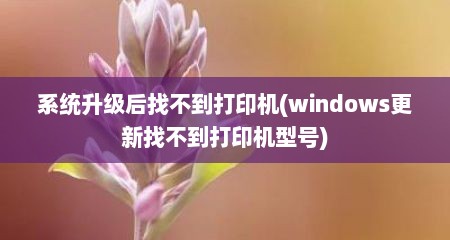 系统升级后找不到打印机(windows更新找不到打印机型号)