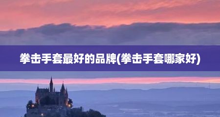 拳击手套最好的品牌(拳击手套哪家好)