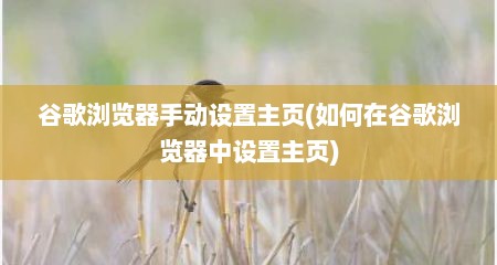 谷歌浏览器手动设置主页(如何在谷歌浏览器中设置主页)