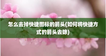 怎么去掉快捷图标的箭头(如何将快捷方式的箭头去除)
