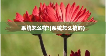 系统怎么样?(系统怎么搞的)