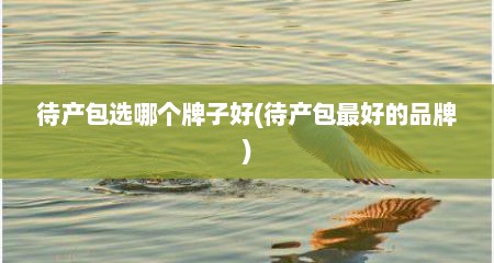 待产包选哪个牌子好(待产包最好的品牌)