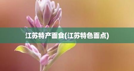 江苏特产面食(江苏特色面点)