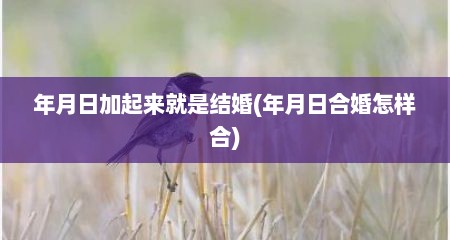 年月日加起来就是结婚(年月日合婚怎样合)