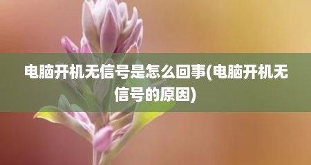 电脑开机无信号是怎么回事(电脑开机无信号的原因)