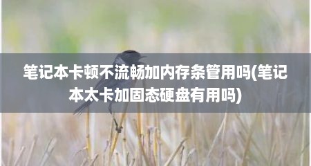 笔记本卡顿不流畅加内存条管用吗(笔记本太卡加固态硬盘有用吗)
