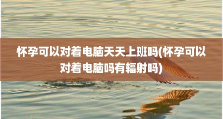 怀孕可以对着电脑天天上班吗(怀孕可以对着电脑吗有辐射吗)