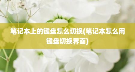 笔记本上的键盘怎么切换(笔记本怎么用键盘切换界面)