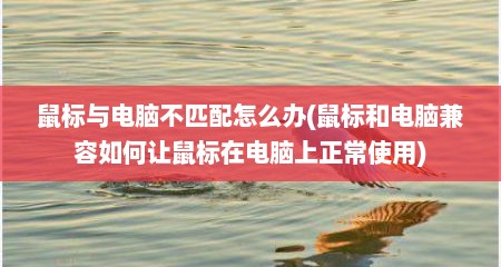 鼠标与电脑不匹配怎么办(鼠标和电脑兼容如何让鼠标在电脑上正常使用)